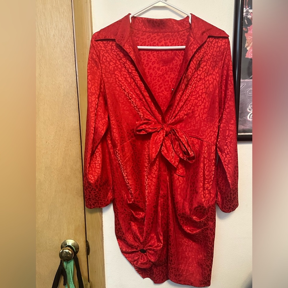 Red cheetah print satin dress.